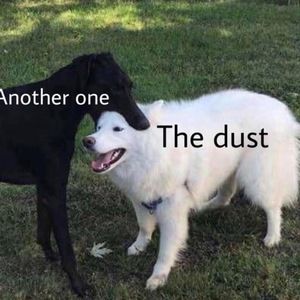 Meet your Posher, Holly